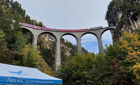 20241009_29.jpg  
